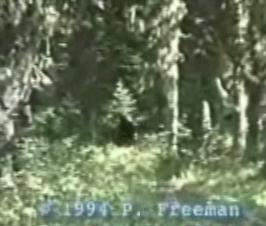 freeman footage