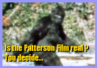 Patterson Film Analysis